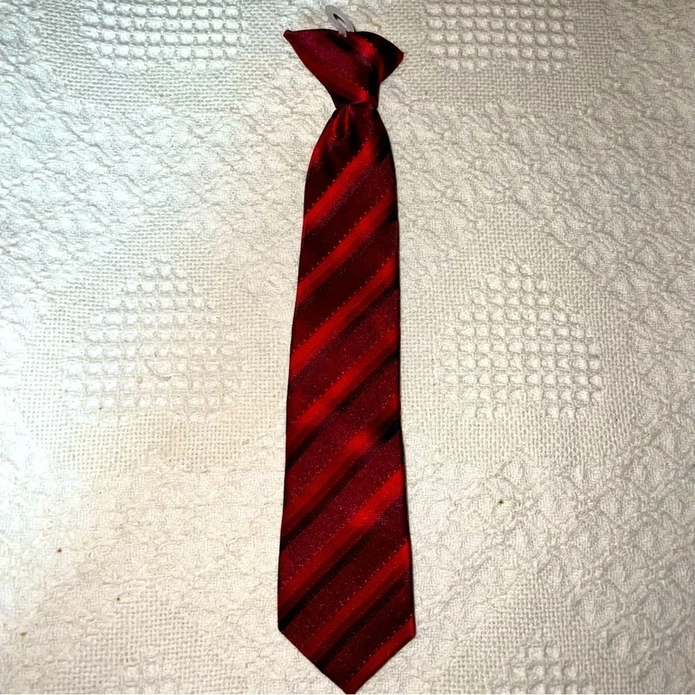 Nwot Little guy’s clip on tie in shades of purple and red